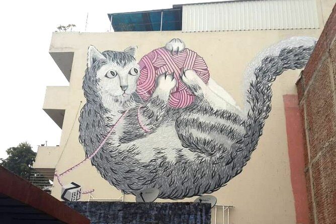 Delhi Street Art Tour On Private Basis - Authenticity & Local Interaction