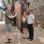 Delhi: Taj Mahal Sunrise Tour with Elephant Conservation - Agra Fort: Mughal Majesty