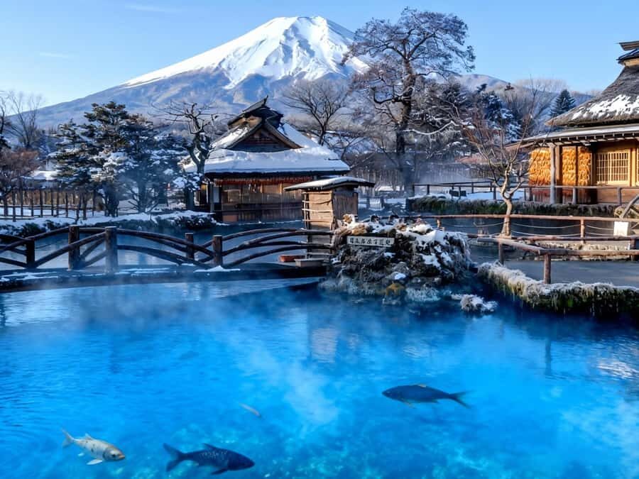 Departure from Tokyo: Mount Fuji  A Day of Encounters - The Practicalities: What to Expect
