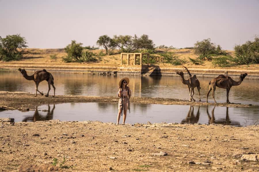 Desert Cultural Evening (No Camel) : Kalbelia & Sufi Fusion - The Stop at Kuldhara: Rajasthan’s Ghost Town