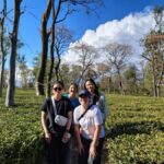 Dharamshala: Monasteries and Temples Private Day Trip - What You Can Expect from the Day