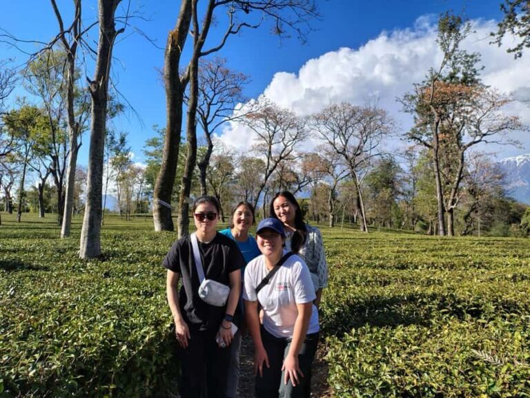 Dharamshala: Monasteries and Temples Private Day Trip - What You Can Expect from the Day