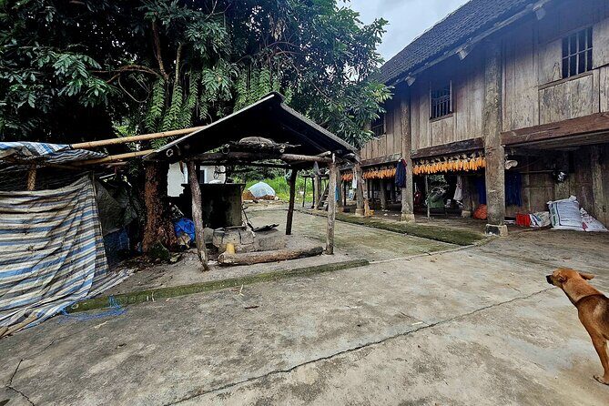 Dien Bien Cuisine and Culture Spectacle - Who Should Consider This Experience?