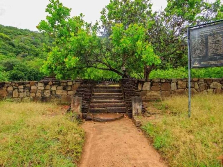 Dimbulagala Eco Trekking and Village Tour From Polonnaruwa - Why This Tour Stands Out