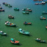 Discover 2 islands of Phu Quoc by boat - What Makes This Tour Stand Out?