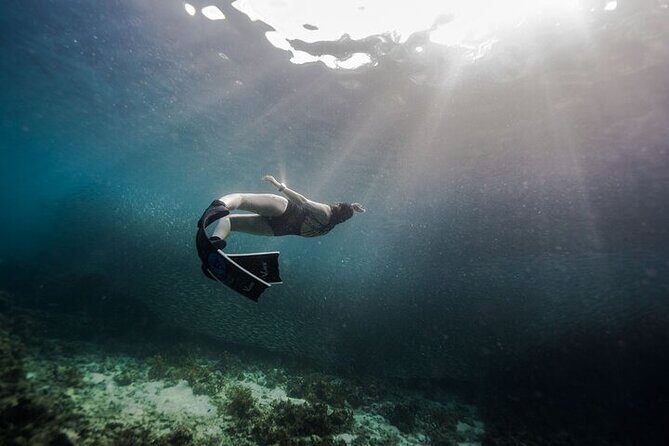 Discover Freediving One Amazing Day - Why This Experience Excels