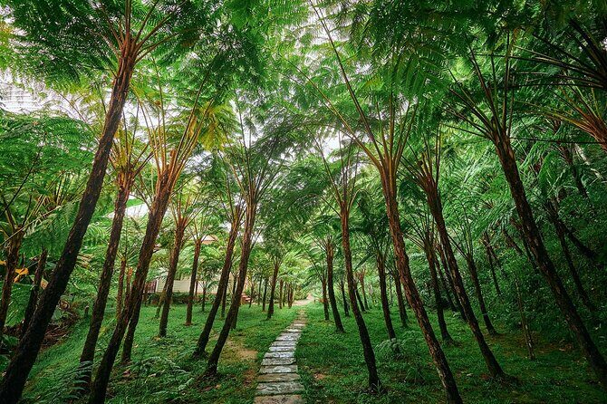 Discover Full Day Tour Doi Inthanon National Park from Chiang Mai - Who Will Love This Tour?