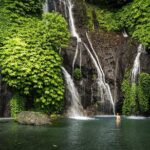 Discover Hidden Bali Waterfalls in Private All Inclusive Tour - What Makes This Tour Special