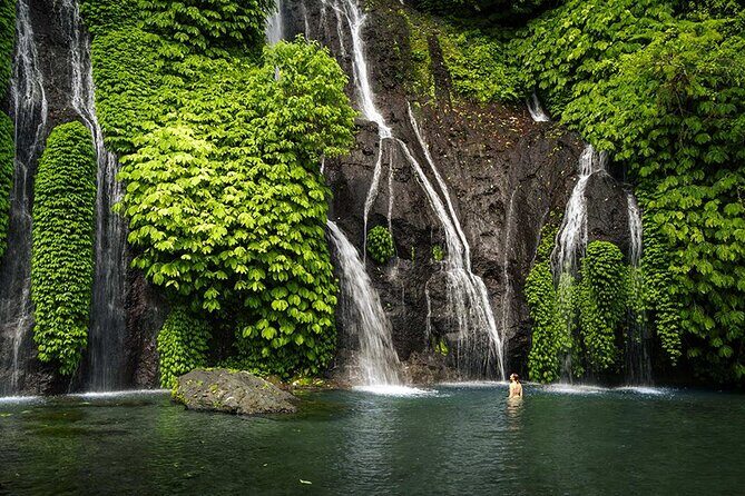 Discover Hidden Bali Waterfalls in Private All Inclusive Tour - What Makes This Tour Special