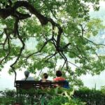 Discover Highlights of Hanoi City from Halong Cruise Port - A Few Considerations