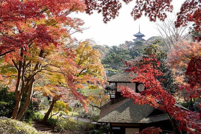 Discover Japan Your Way - Who Should Book This Experience?