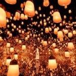 Discover Kyoto TeamLab Biovortex Experience - The Itinerary Breakdown: What You Can Expect