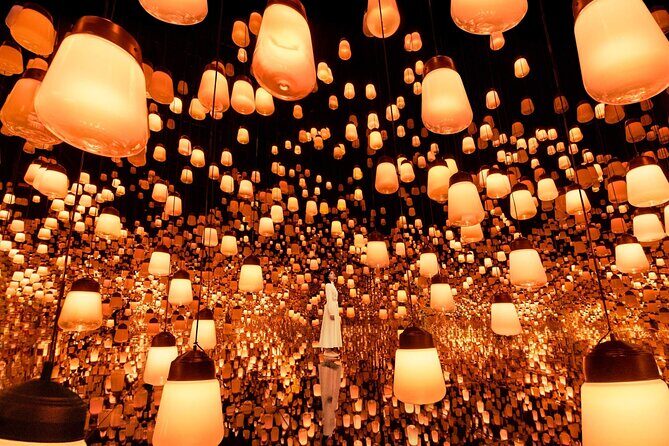 Discover Kyoto TeamLab Biovortex Experience - The Itinerary Breakdown: What You Can Expect