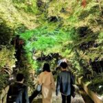 Discover Kyotos Most Magical Night - An In-Depth Look at the Itinerary
