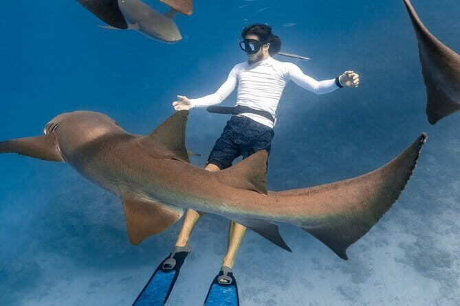 Discover Maafushi in 4 Nights 5 Days (Tour A) - Why This Tour Offers Great Value