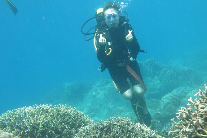 Discover Nha Trang Bay with Scuba Diving Tour - Authentic Insights from Reviews