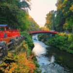Discover Nikko Full-Day Private Tour from Tokyo - Why This Tour Is a Great Choice