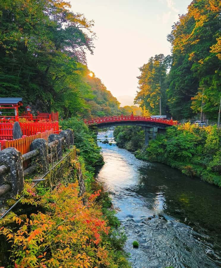 Discover Nikko Full-Day Private Tour from Tokyo - Why This Tour Is a Great Choice