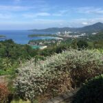 Discover Phuket: Half-Day Island Guided Introduction Tour - Frequently Asked Questions