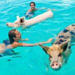 Discover Pig Island & Koh Tan: Private Longtail Trip - Practical Considerations and Reviews