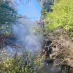 Discover Rotorua Guided Walking Tour of Hidden Gems - FAQ