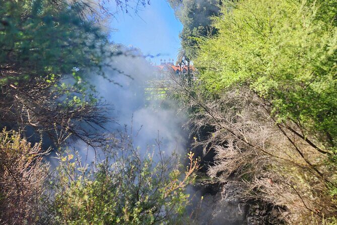 Discover Rotorua Guided Walking Tour of Hidden Gems - FAQ