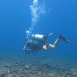 Discover Scuba Diving Day Trip in Amed and Tulamben - Insights from Reviews and Practical Tips