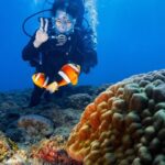 Discover Scuba Diving With Sea Turtles  Xiaoliuqiu, Taiwan - What’s Included and What to Expect