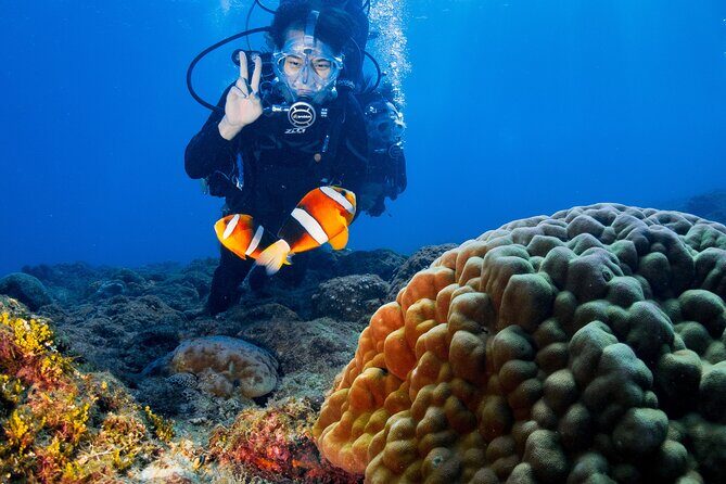 Discover Scuba Diving With Sea Turtles  Xiaoliuqiu, Taiwan - What’s Included and What to Expect