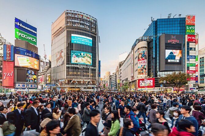 Discover Shibuya Culture and Street Life with a Local Guide - The Sum Up