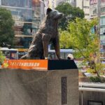 Discover Shibuya Culture and Street Life with a Local Guide - Why This Tour Is a Great Value