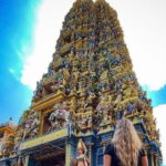 Discover Sigiriya Dambulla and Minneriya Park in Day Tour - Exploring the Itinerary in Detail