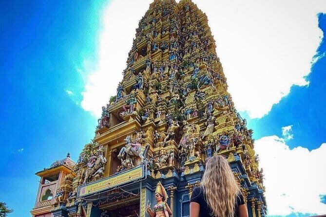 Discover Sigiriya Dambulla and Minneriya Park in Day Tour - Exploring the Itinerary in Detail