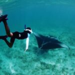 Discover South Ari Atoll - Full Day Tour from Male city - What to Expect During the Tour