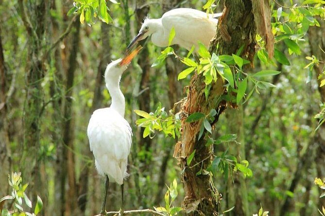 Discover Tan Lap Floating Village from Ho Chi Minh city - Who Should Consider This Tour?