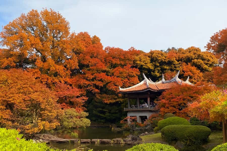 Discover the History of Shinjuku Gyoen-Private Walking Tour - Exploring the Highlights of Shinjuku Gyoen