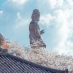 Discover the Timeless Charm and Natural Beauty of Nara - FAQ