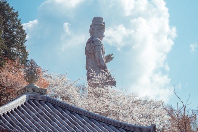 Discover the Timeless Charm and Natural Beauty of Nara - FAQ