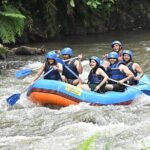 Discover Ubud Waterfall Swing Rice Terrace and Monkey Forest - FAQs