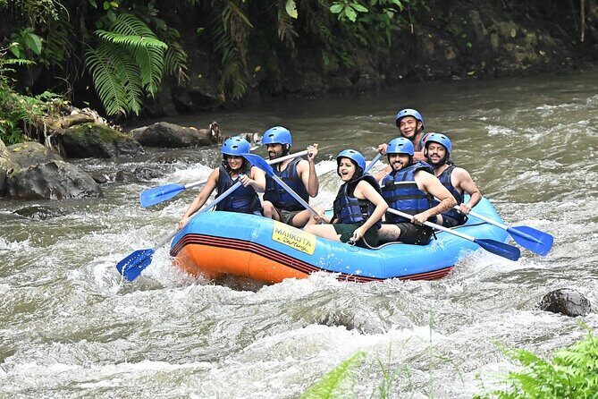 Discover Ubud Waterfall Swing Rice Terrace and Monkey Forest - FAQs