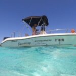 Discovery of the lagoon DE Moorea Visit and Snorkeling 5 Pax Max - Exploring Moorea’s Lagoon with a Small Group