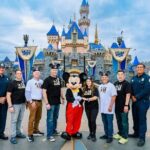 Disneyland or Disneysea Transfer to or from Tokyo English Driver - Why This Transfer Service Is Worth Considering