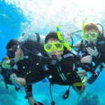 Diving (For Beginner diver) - Pattaya - Diving Experience Breakdown: What You Can Expect