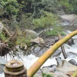 Doi Inthanon at afternoon and Hiking - What to Expect and Why It Matters