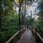 Doi Inthanon National Park and Hiking Kew Mae Pan Trail - Final Thoughts: Is This Tour for You?