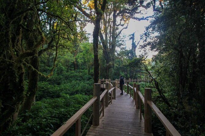 Doi Inthanon National Park and Hiking Kew Mae Pan Trail - Final Thoughts: Is This Tour for You?