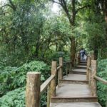 Doi Inthanon Summit Waterfalls and Hill Tribe Day Tour - The Authentic Experience: From Scenic Views to Cultural Insights