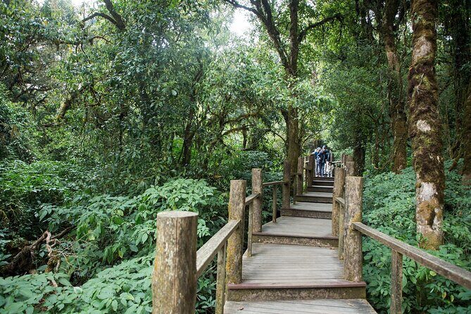 Doi Inthanon Summit Waterfalls and Hill Tribe Day Tour - The Authentic Experience: From Scenic Views to Cultural Insights