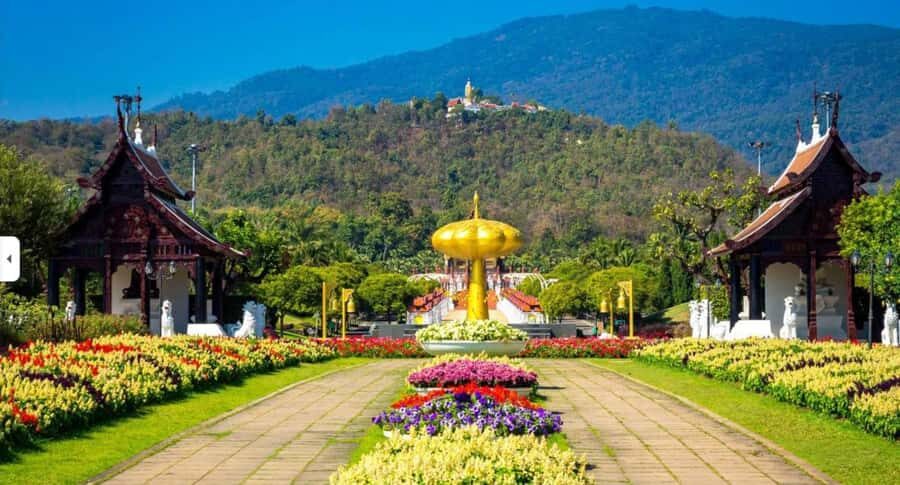 Doi Suthep & King Park in a Small Group - The Sum Up