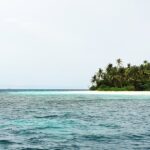 Dolphin Cruise in Dhiffushi - Authentic Traveler Insights